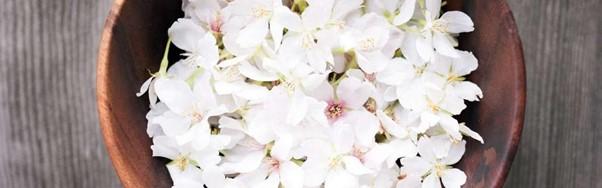 Ushuaïa Douceur du Japon Douche Soin Lait de Riz & Fleur de Sakura, 300ml :  : Beauté et Parfum